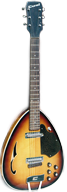 Coral T2N6 Teardrop Coral Teardrop Guitar Front and Back