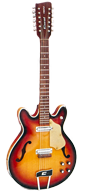 Coral Sunburst Firefly Coral Firefly Twelve String